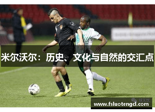 米尔沃尔:历史、文化与自然的交汇点 米尔沃尔:历史、文化与自然的交汇点